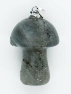 Pendant Mushroom Labradorite