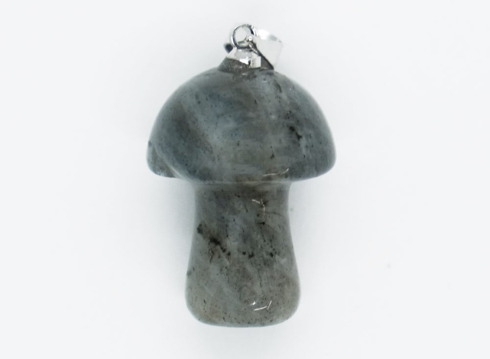Pendant Mushroom Labradorite