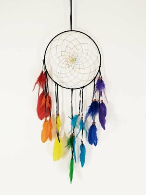 Dream Catcher Chakra 25cm