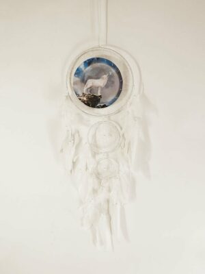 Dream Catcher White Wolf 25cm