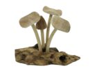 Mushroom Wooden Natural 12cm