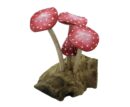 Mushroom Wooden Red 13cm