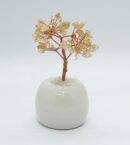 Tree Chip Citrine in Pot