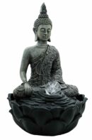 Fountain Buddha in Lotus