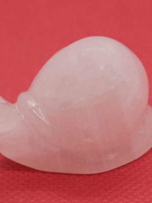 Snail Rose Quartz 4cm
