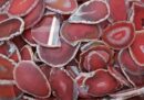 Stone Agate Slice Red 4-6cm