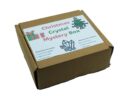Crystal Mystery Christmas Box