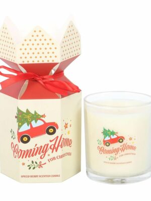 Candle Spiced Berry for Xmas