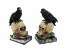 Ravens on Skull and Books