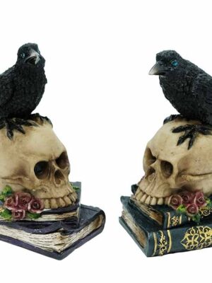 Ravens on Skull and Books