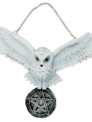 Hanging Owl White On Pentagram