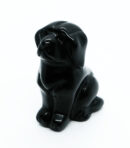 Dog 40mm Obsidian