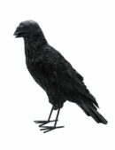 Crow Black 31x14x34cm