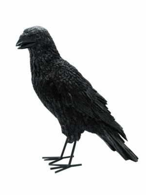 Crow Black 31x14x34cm