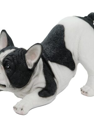 Dog Pug Black And White