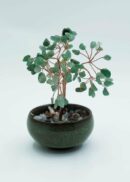 Tree Chip Aventurine in Pot