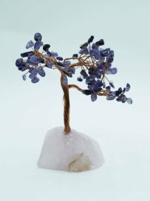 Tree Chip Amethyst On RQz Base