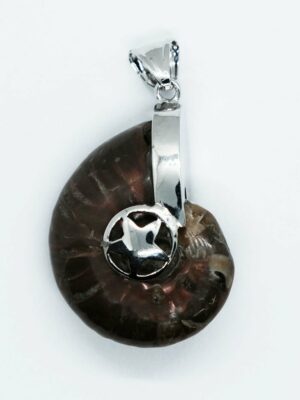 Pendant Caged Star Ammolite
