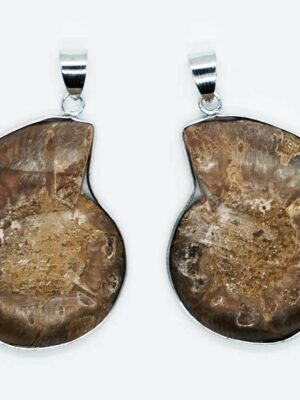 Pendant Ammolite Pair