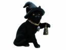 Cat Black Witch Hat With Lamp