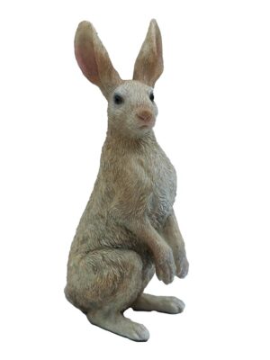 Jack Rabbit Hare Decoration