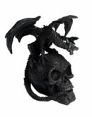 Dragon On Skull