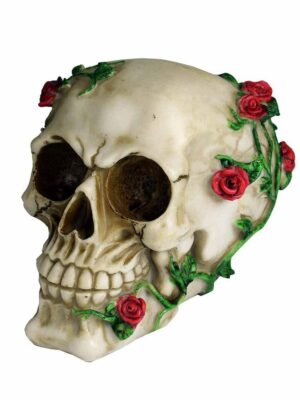 Skull With Rose H13xW10cm