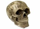 Skull 8.5x12x9.5cm