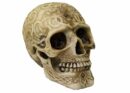 Skull 16x10.5x11.5cm