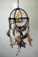 Cage Wolf Sitting 6 Inch