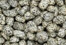 Tumblestone Dalmatian Jasper