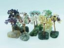 Tree Chip on Fluorite. Selection of 7 Trees