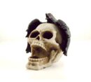 Skull Ivory With Corbie Bird