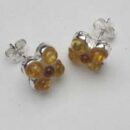 Earring Amber Stud