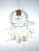 Dream Catcher Natural Shell
