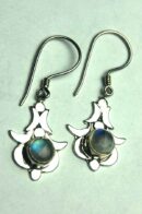 Silver Earring Moons Moonstone