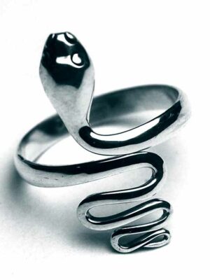 Silver Ring Snake Plain