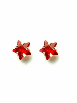 Silver Earring Star Ruby Stone