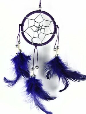 Dream Catcher Bone Purple
