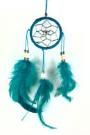 Dream Catcher Bone Turquoise