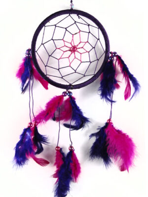 Dream Catcher Pink And Purple