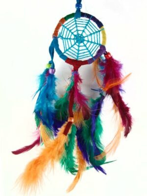 Dream Catcher Spider Net Rainbow