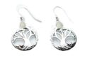 Silver Earring Tree Rainbow