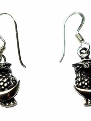 Silver Earring Owl on Moon