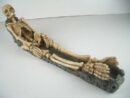 Ashcatcher Skeleton