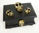 Box With 3 Skulls Wood 24X18X13cm