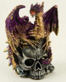 Dragon On Skull Head Purple