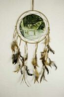 Dream Catcher Wolves In Snow