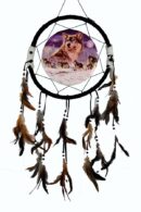 Dream Catcher Pack Of Wolves