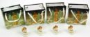 Angel Mini With Heart 2.5cm 4pcs